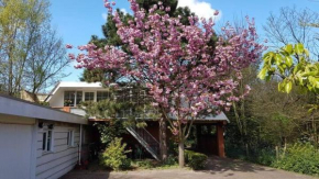 Welcome in - Appartement - Valkenisseweg 68 l Biggekerke 'Strand Appartement'